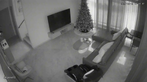 Caméra IP - Malasia