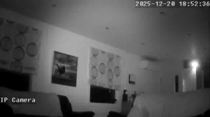 Caméra IP - Nueva Zelanda