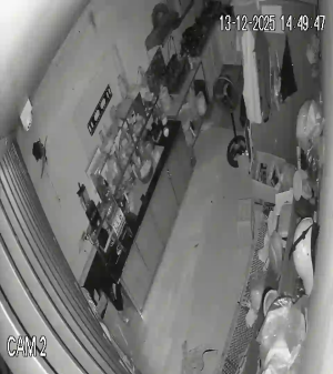 Caméra IP - Vietnam