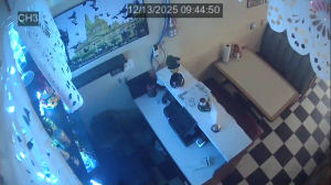 Caméra IP - États-Unis d'Amérique