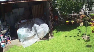 Caméra IP - Argentina