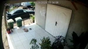 Caméra IP - Curaçao