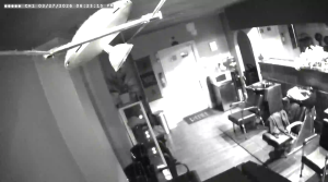 Caméra IP - Stati Uniti d'America