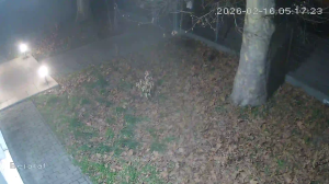 Caméra IP - Hungary