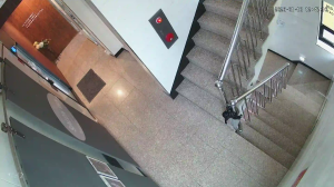 Caméra IP - Südkorea