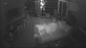 Caméra IP - United States of America