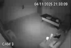 Caméra IP - Vue en direct