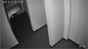 Caméra IP - Mozambique