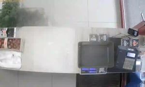 Caméra IP - Polen