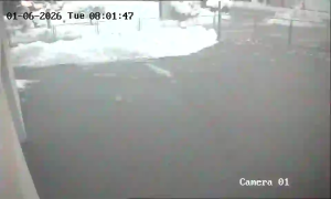 Caméra IP - Bosnien und Herzegowina