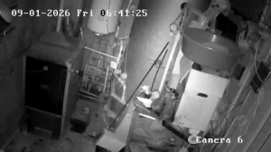 Caméra IP - Rumänien