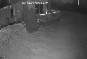 Caméra IP - États-Unis d'Amérique