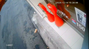 Caméra IP - República de Corea