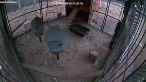 Caméra IP - United States of America