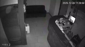 Caméra IP - South Korea