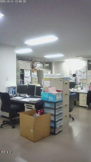Caméra IP - Japan