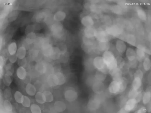 Caméra IP - New Zealand