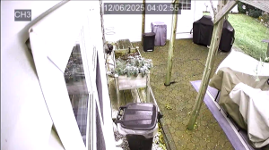 Caméra IP - United States of America