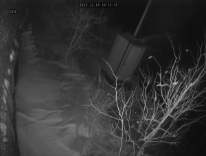 Caméra IP - South Korea