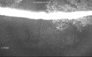 Caméra IP - Australie