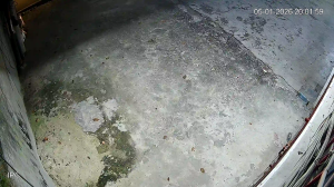 Caméra IP - Indonésie