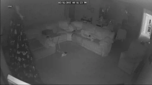 Caméra IP - United States of America