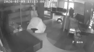 Caméra IP - Vue en direct