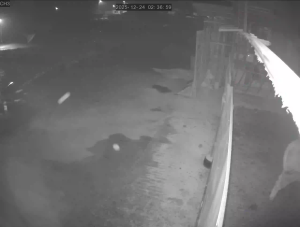 Caméra IP - Südkorea