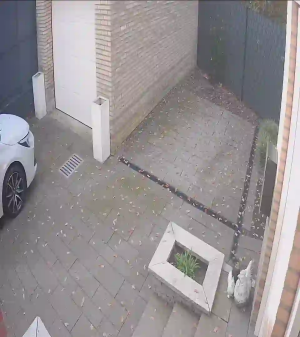 Caméra IP - Netherlands