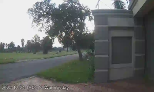 Caméra IP - Sudáfrica