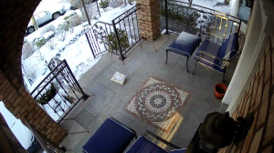 Caméra IP - United States of America