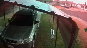 Caméra IP - United States of America