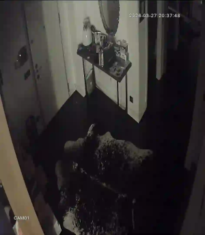 Caméra IP - Turquía