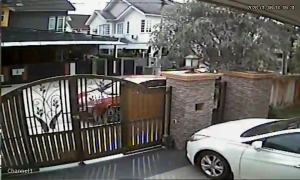 Caméra IP - Malaisie