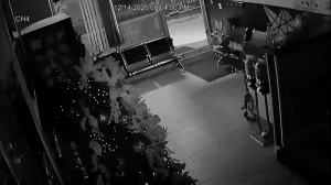 Caméra IP - États-Unis d'Amérique