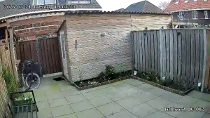 Caméra IP - Niederlande