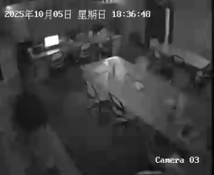 Caméra IP - Chine