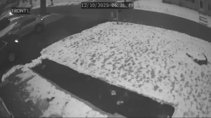 Caméra IP - United States of America