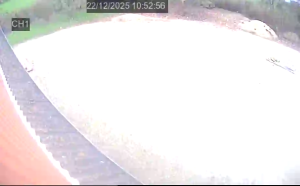 Caméra IP - Dinamarca