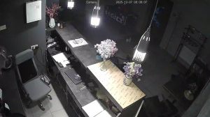 Caméra IP - Ucrania