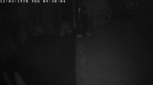 Caméra IP - Russian Federation