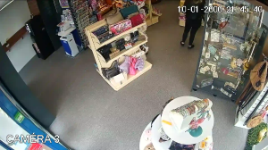 Caméra IP - Francia