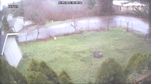 Caméra IP - États-Unis d'Amérique