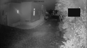 Caméra IP - Nueva Zelanda