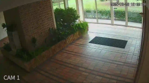 Caméra IP - Francia