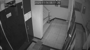 Caméra IP - South Korea