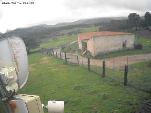 Caméra IP - Italien