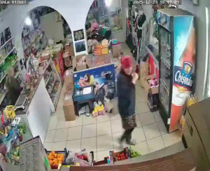 Caméra IP - Moldavia