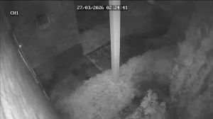 Caméra IP - Niederlande