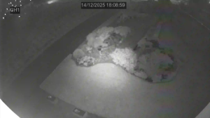 Caméra IP - Polonia